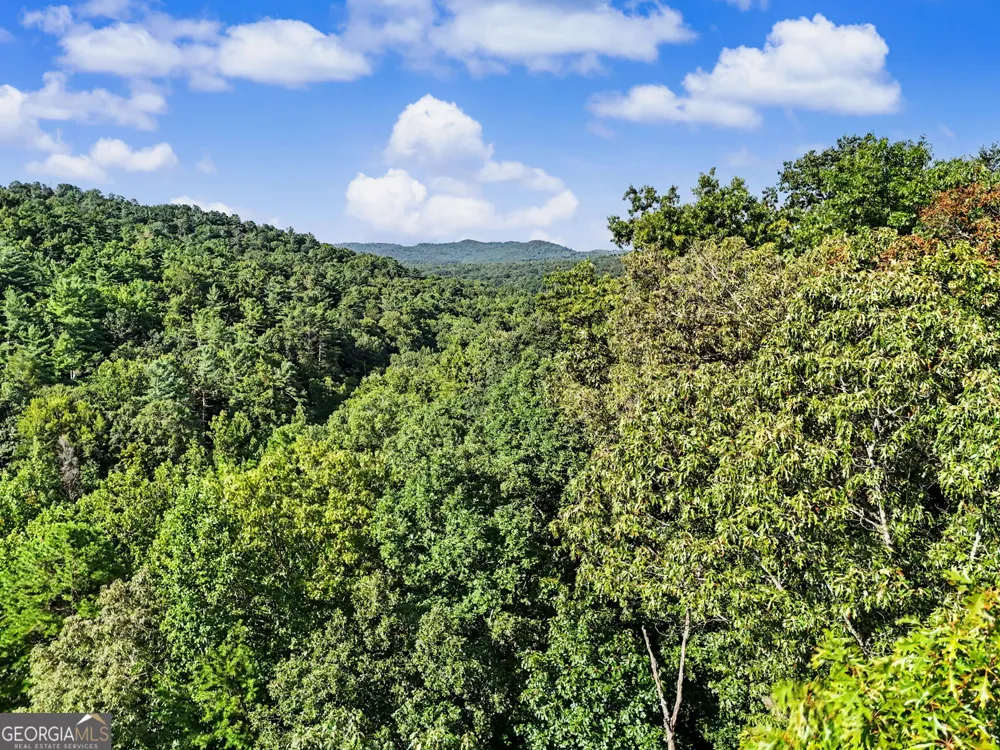 417 Kelly Mountain RD Clarkesville, GA 30523
