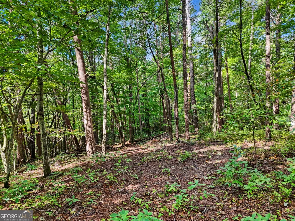 417 Kelly Mountain RD Clarkesville, GA 30523