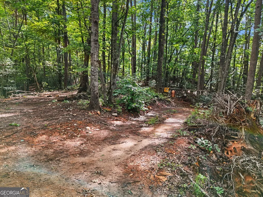 417 Kelly Mountain RD Clarkesville, GA 30523