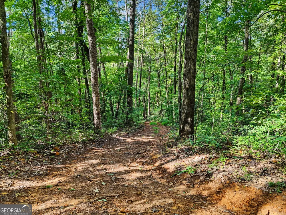 417 Kelly Mountain RD Clarkesville, GA 30523
