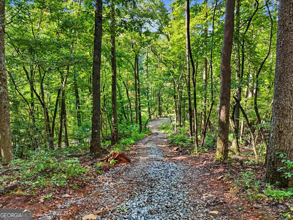417 Kelly Mountain RD Clarkesville, GA 30523