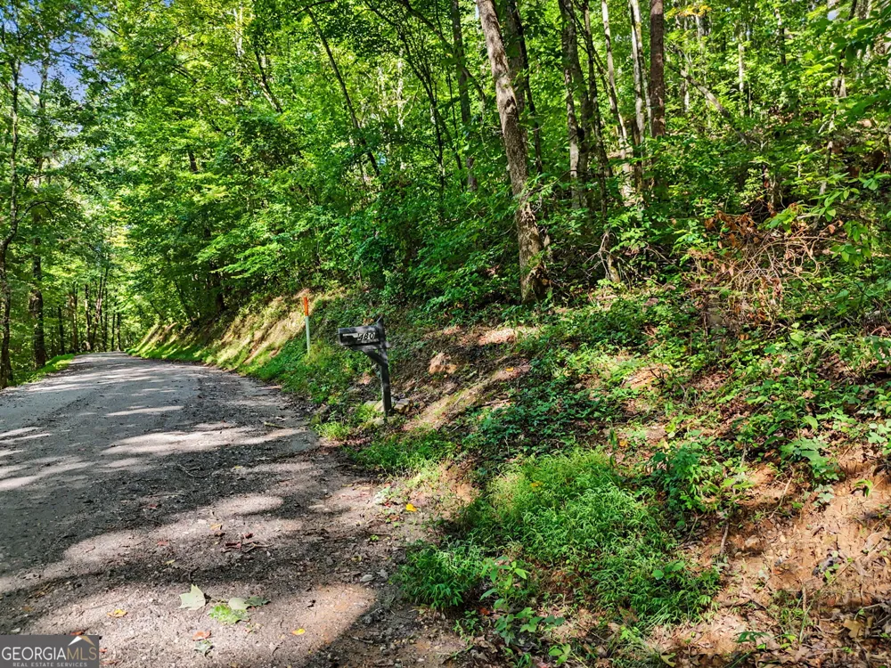 417 Kelly Mountain RD Clarkesville, GA 30523