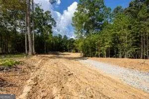 7704 Georgia Highway 100 Buchanan, GA 30113