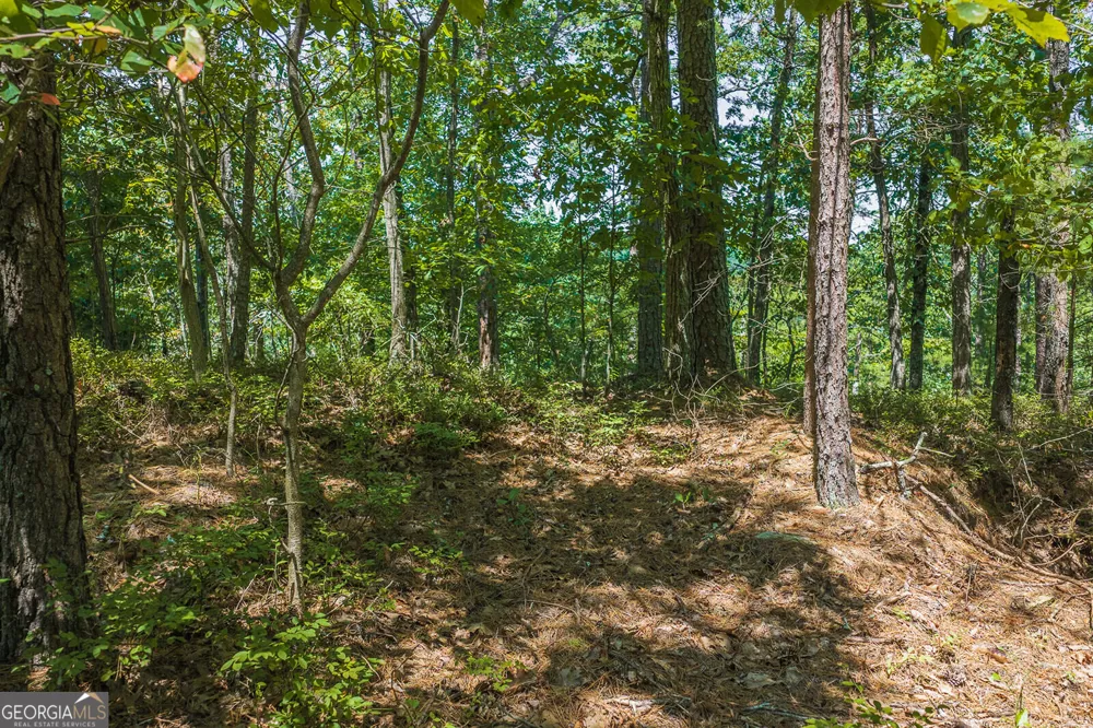 694-695 Railey RDG Ranger, GA 30734