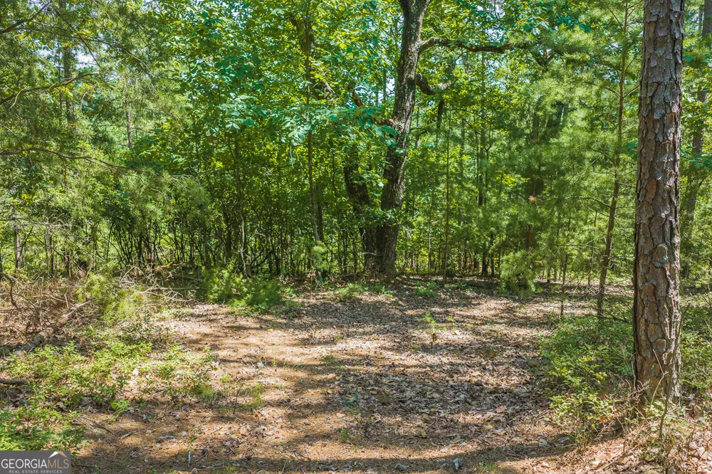 694-695 Railey RDG Ranger, GA 30734