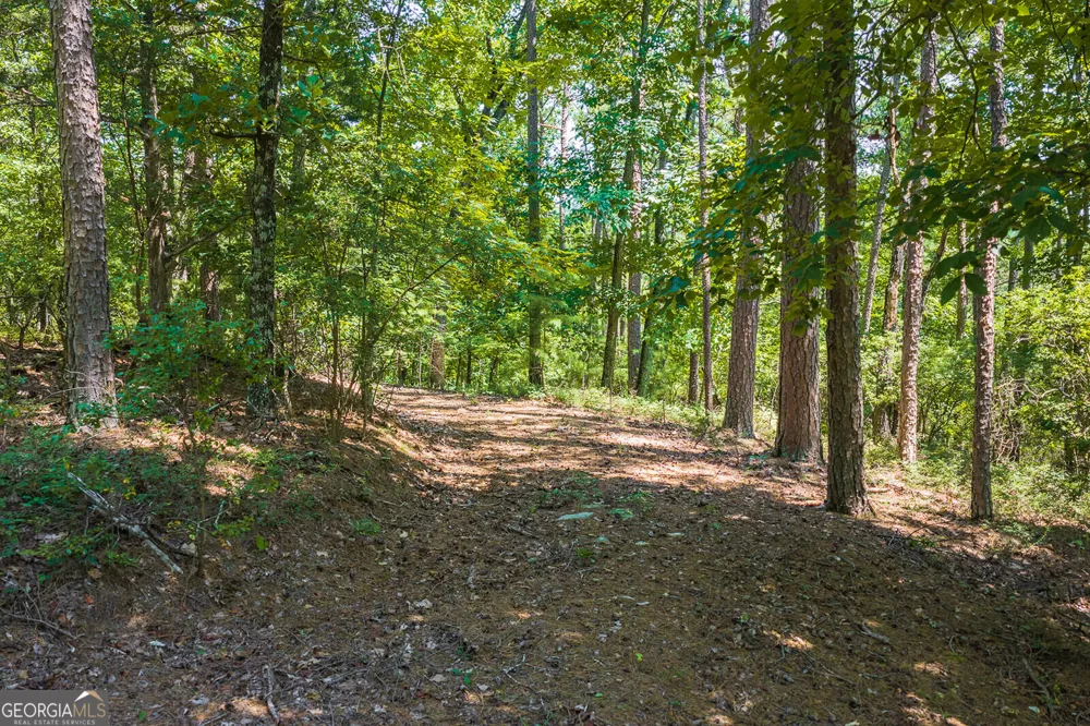 694-695 Railey RDG Ranger, GA 30734