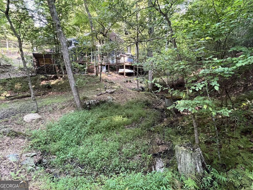 1543 Tipton Springs RD Morganton, GA 30560