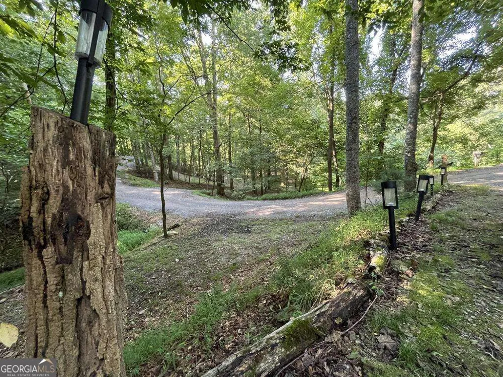 1543 Tipton Springs RD Morganton, GA 30560