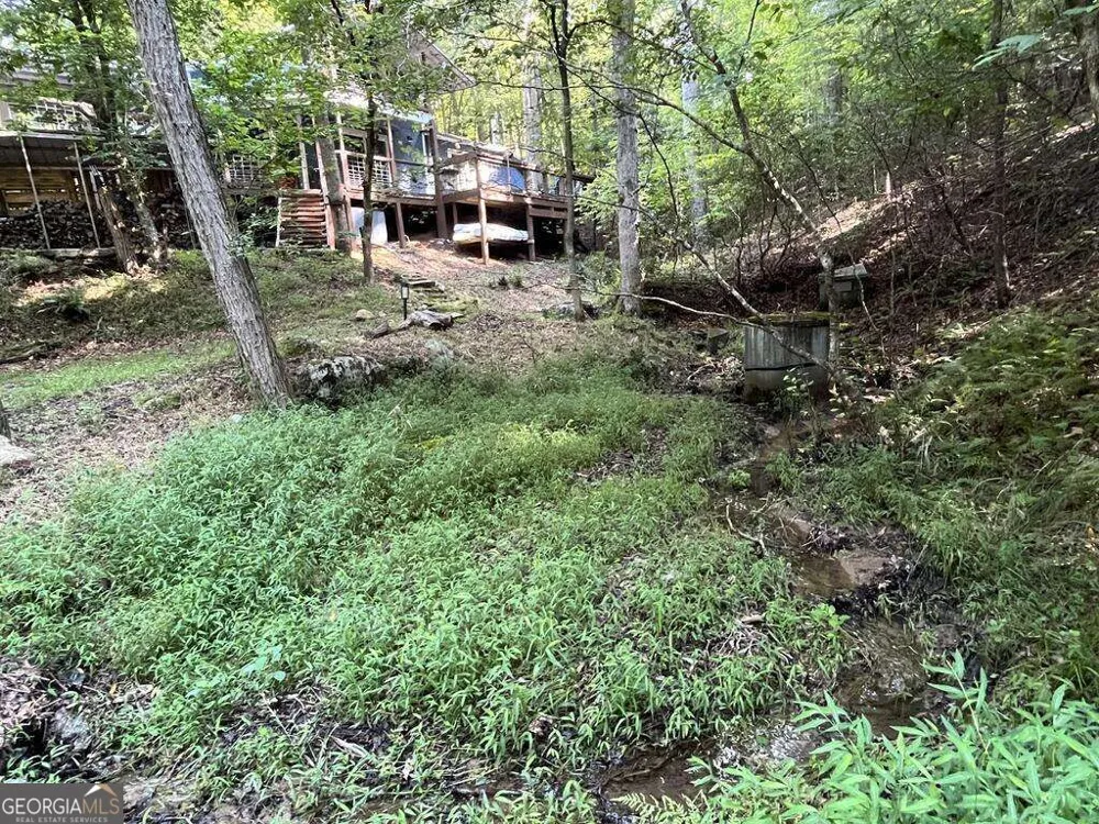 1543 Tipton Springs RD Morganton, GA 30560