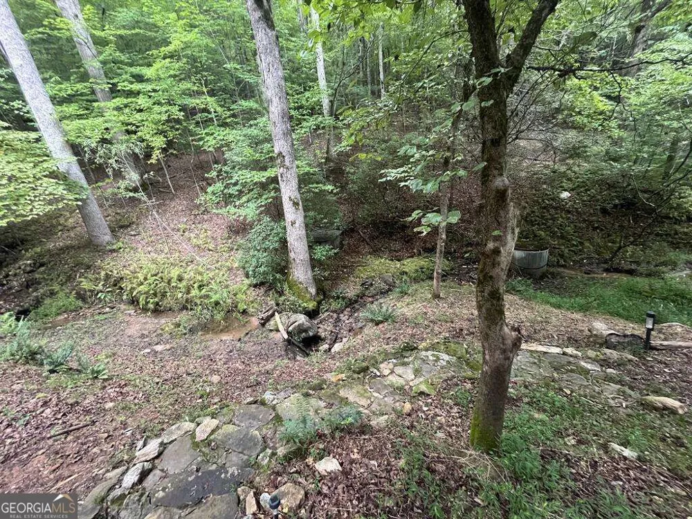 1543 Tipton Springs RD Morganton, GA 30560