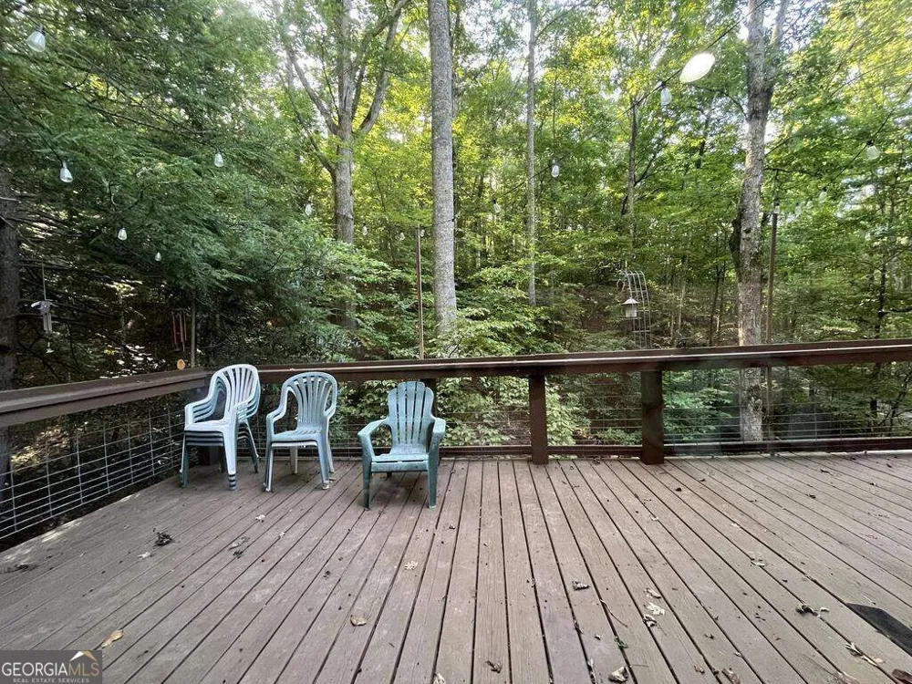 1543 Tipton Springs RD Morganton, GA 30560