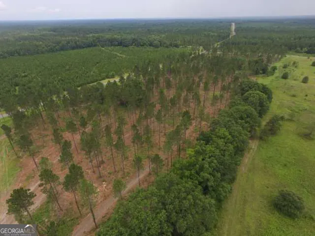 0 Whipples Crossing Lot 2 Dudley, GA 31022