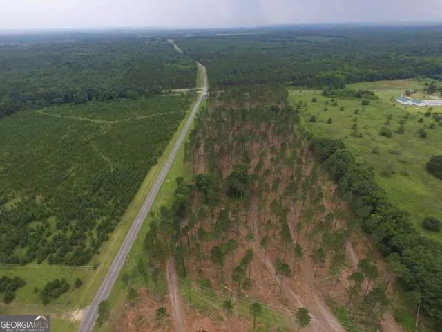 0 Whipples Crossing Lot 2 Dudley, GA 31022