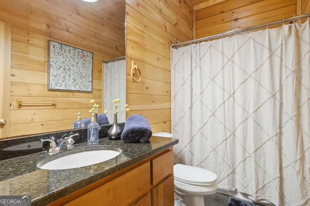 4725 Boardtown RD Ellijay, GA 30540