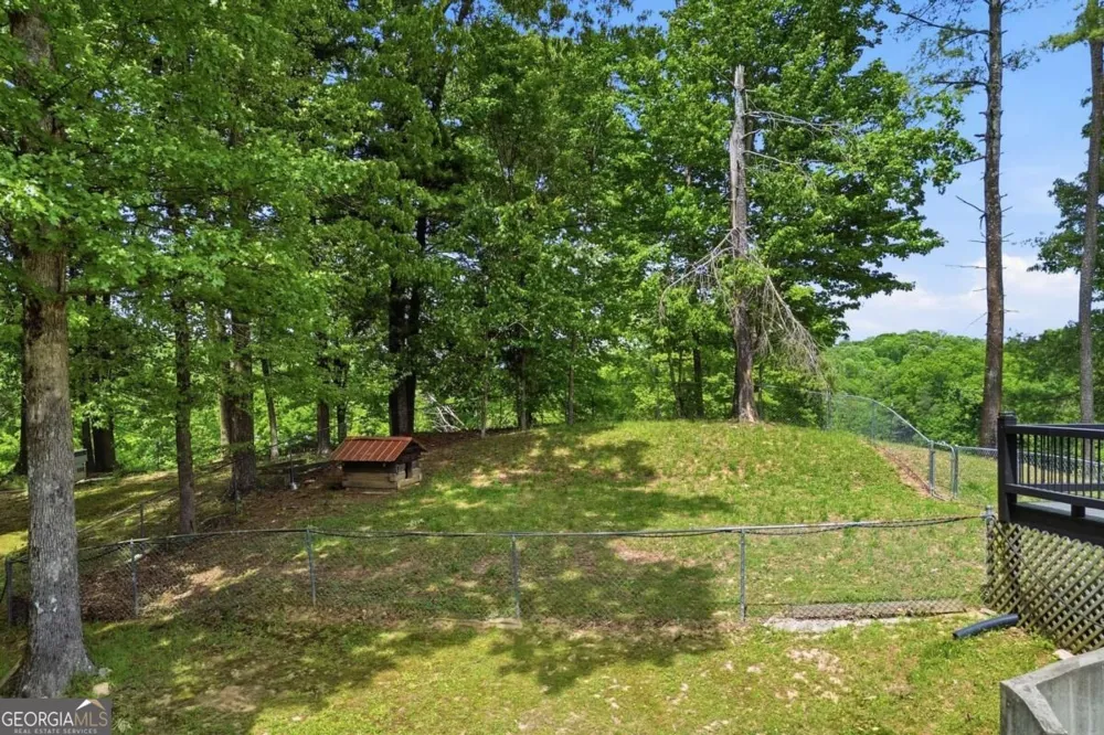 4725 Boardtown RD Ellijay, GA 30540