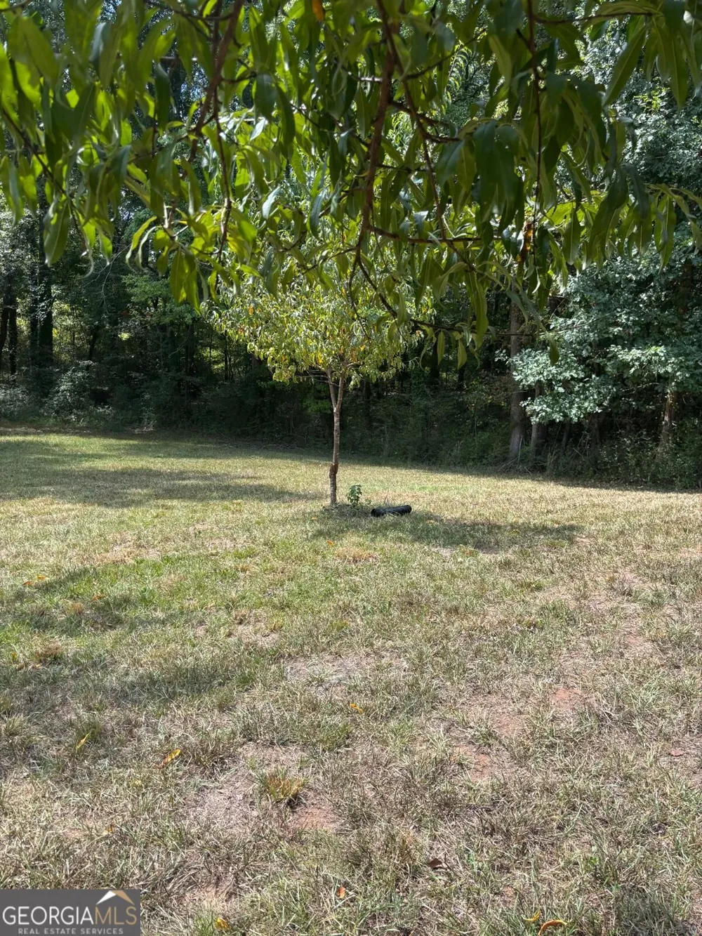 1402 Dewey ST Griffin, GA 30223