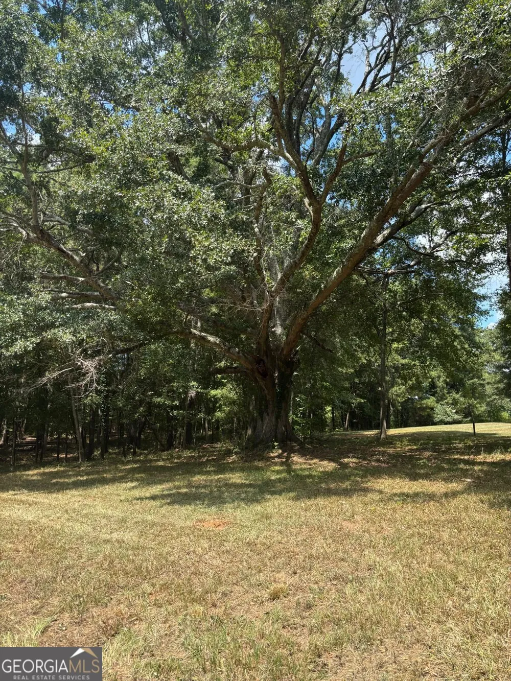 1402 Dewey ST Griffin, GA 30223