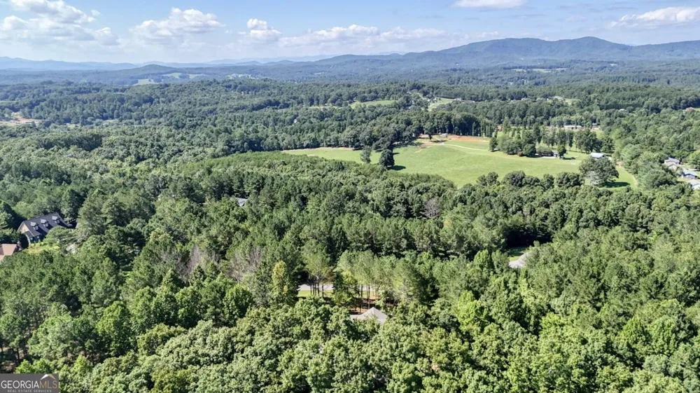 99 LOFTIS MTN TRL Blairsville, GA 30512
