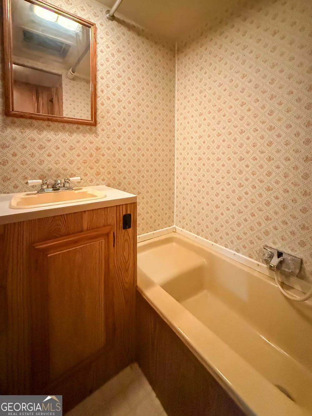 43 Canyon PASS Cleveland, GA 30528