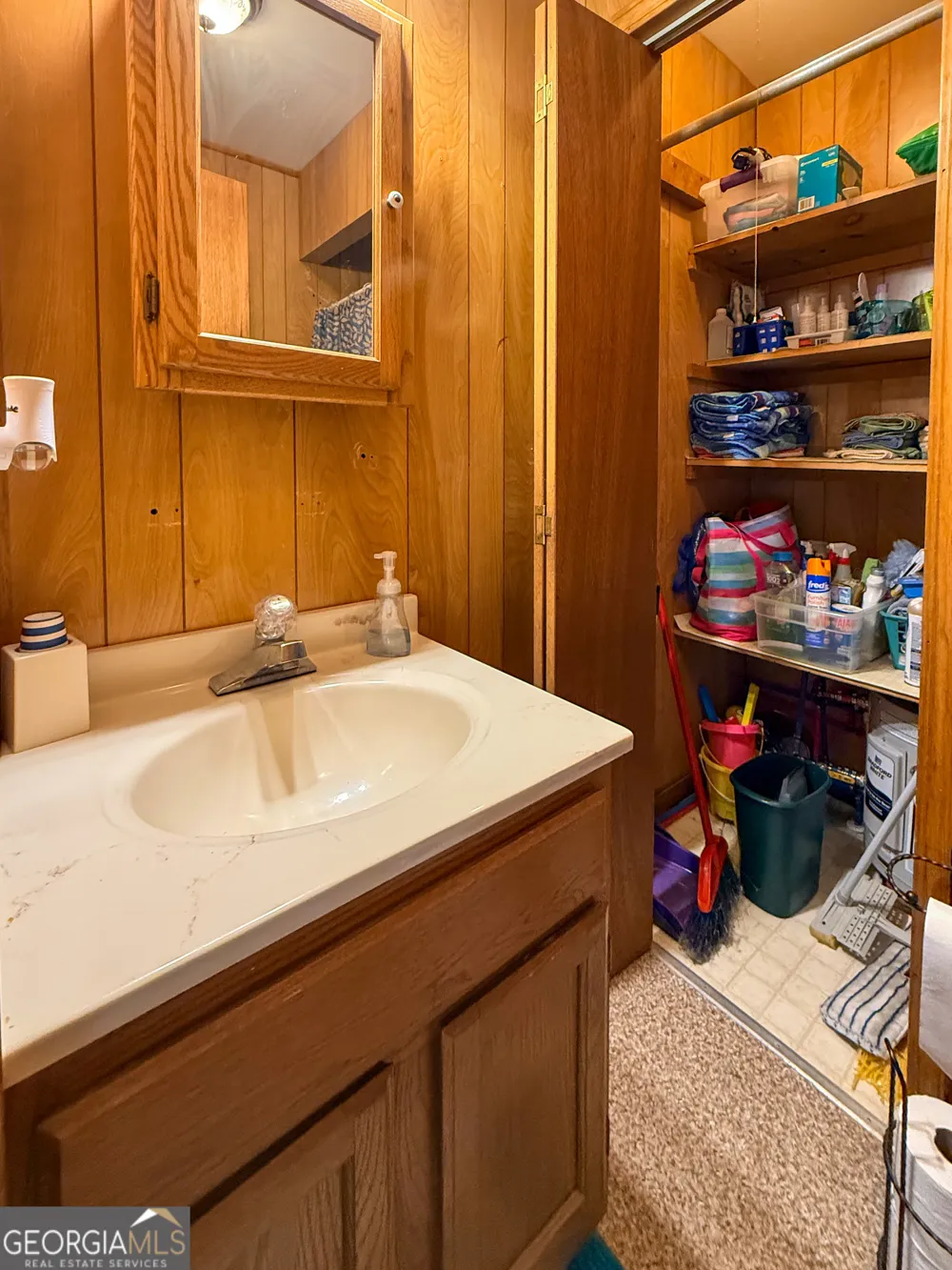 43 Canyon PASS Cleveland, GA 30528