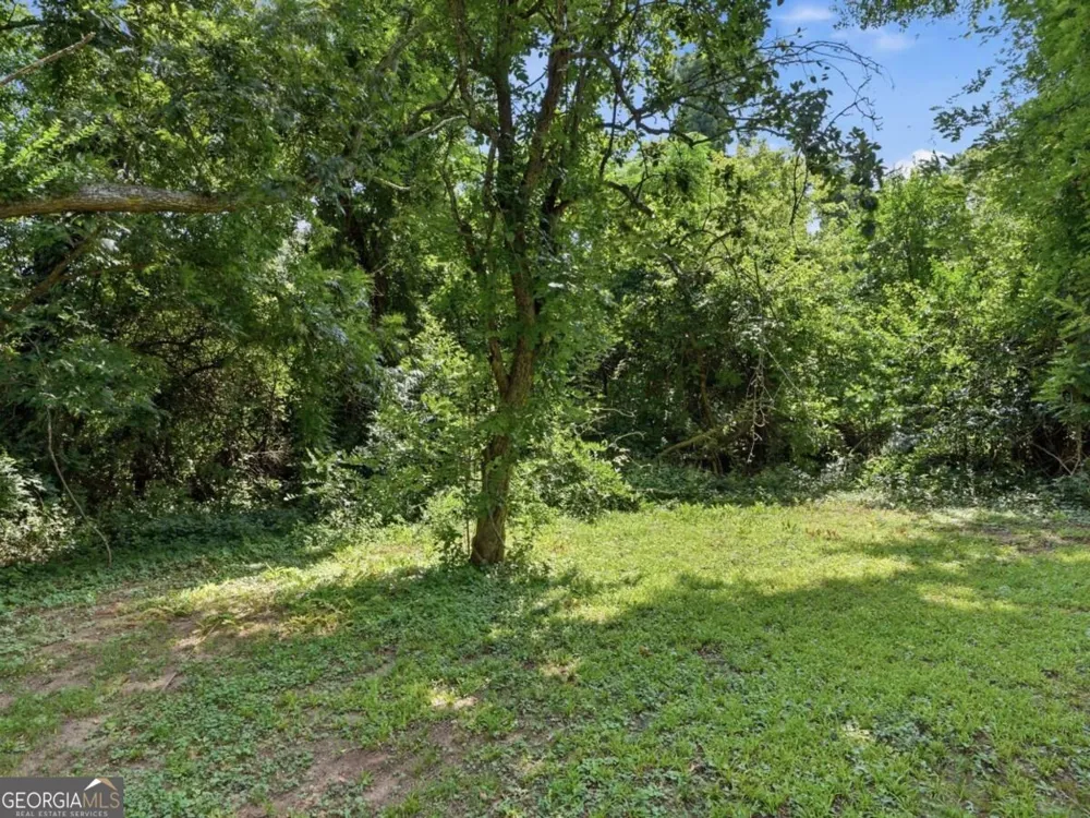 1603 Hollyhock TER Decatur, GA 30032