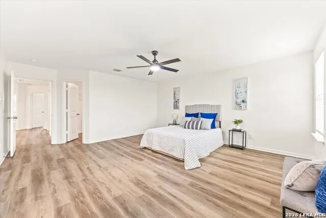 3947 Trail De Paris New Braunfels, TX 78132