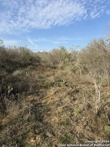 0 Wildhorse Pass St Hedwig, TX 78152