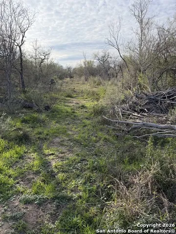 0 Wildhorse Pass St Hedwig, TX 78152