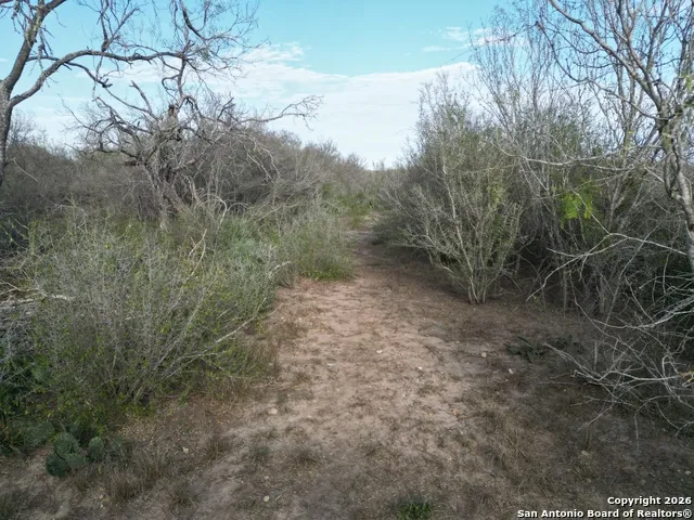0 Wildhorse Pass St Hedwig, TX 78152