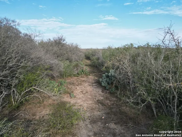 0 Wildhorse Pass St Hedwig, TX 78152