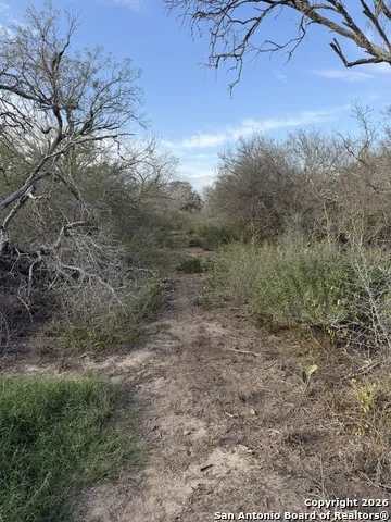 0 Wildhorse Pass St Hedwig, TX 78152