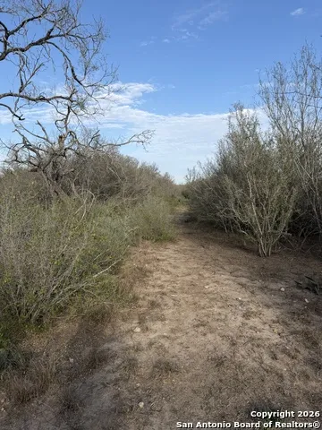 0 Wildhorse Pass St Hedwig, TX 78152