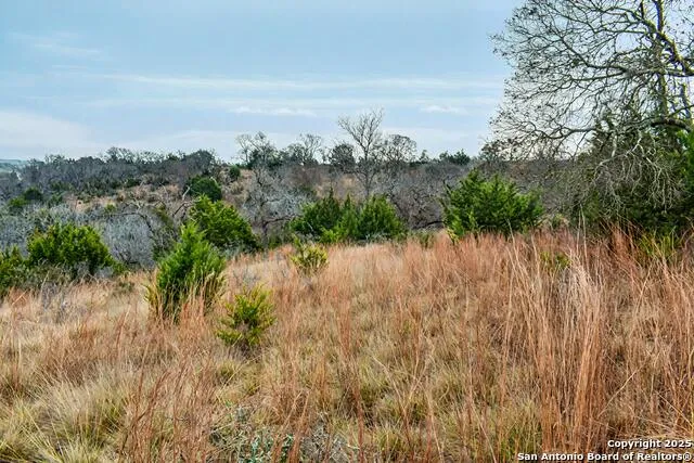 345 Echo Falls Comfort, TX 78013