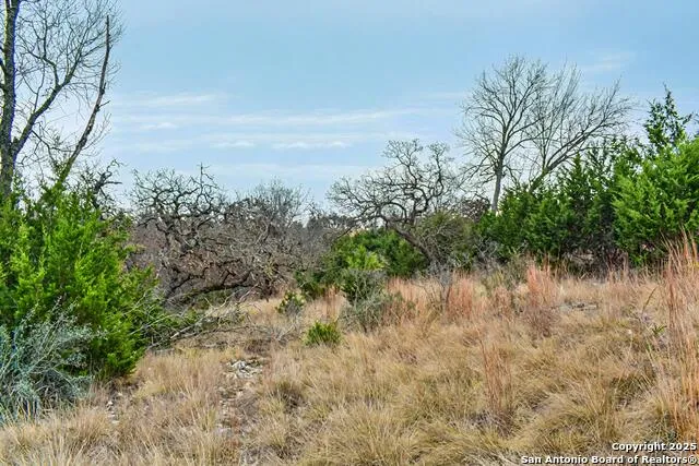 361 Echo Falls Comfort, TX 78013