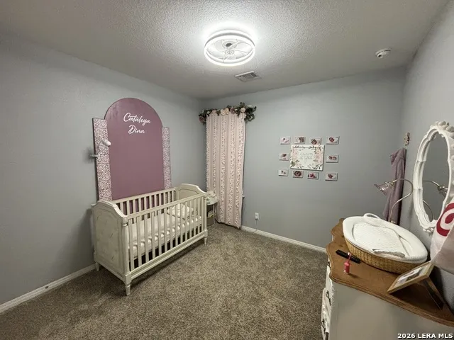 4913 Drovers St Hedwig, TX 78152