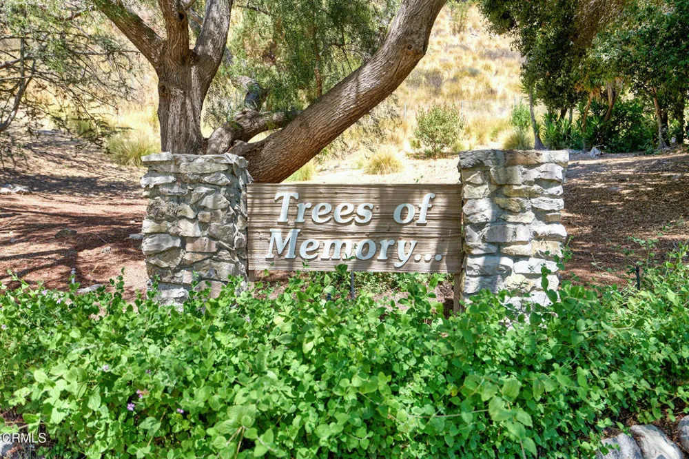 6490 Lada Avenue Camarillo, CA 93012