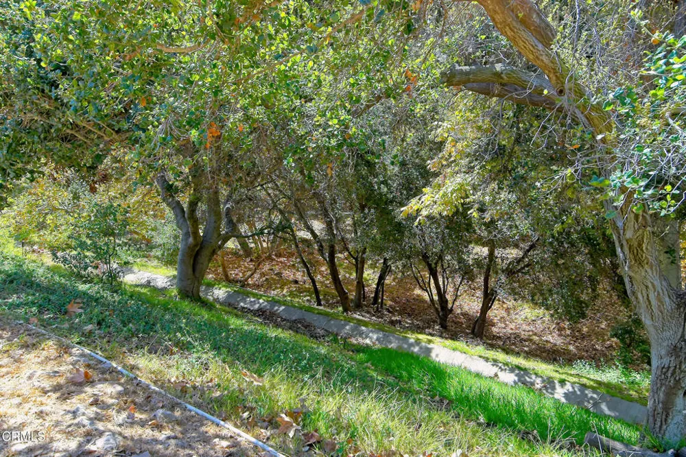 6490 Lada Avenue Camarillo, CA 93012