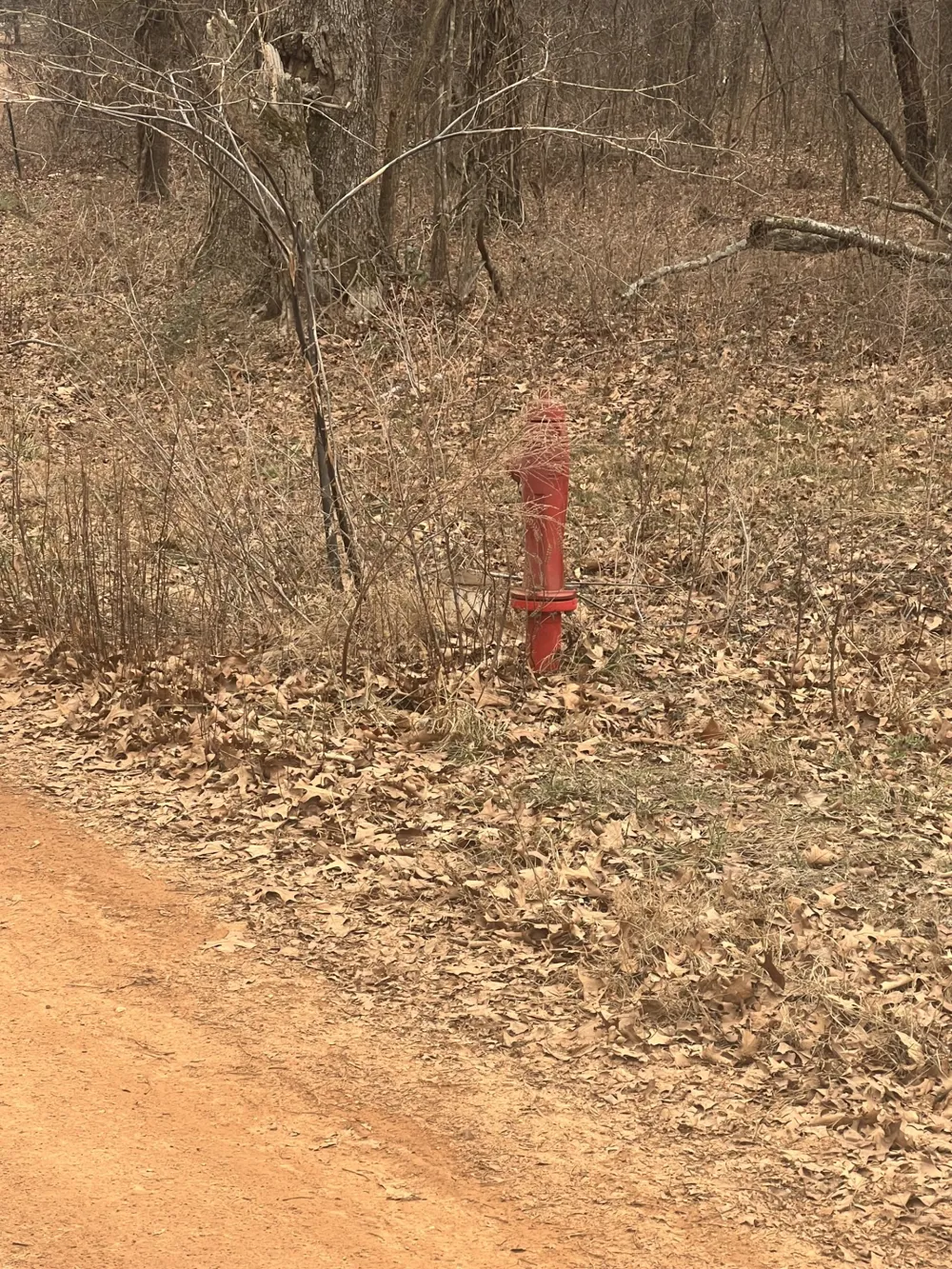Hwy 28 Circle Eucha, OK 74342