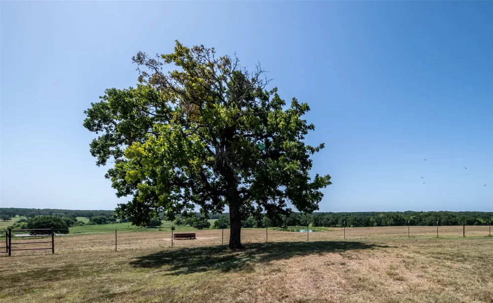 148 Private Road 169 Sunset, TX 76270