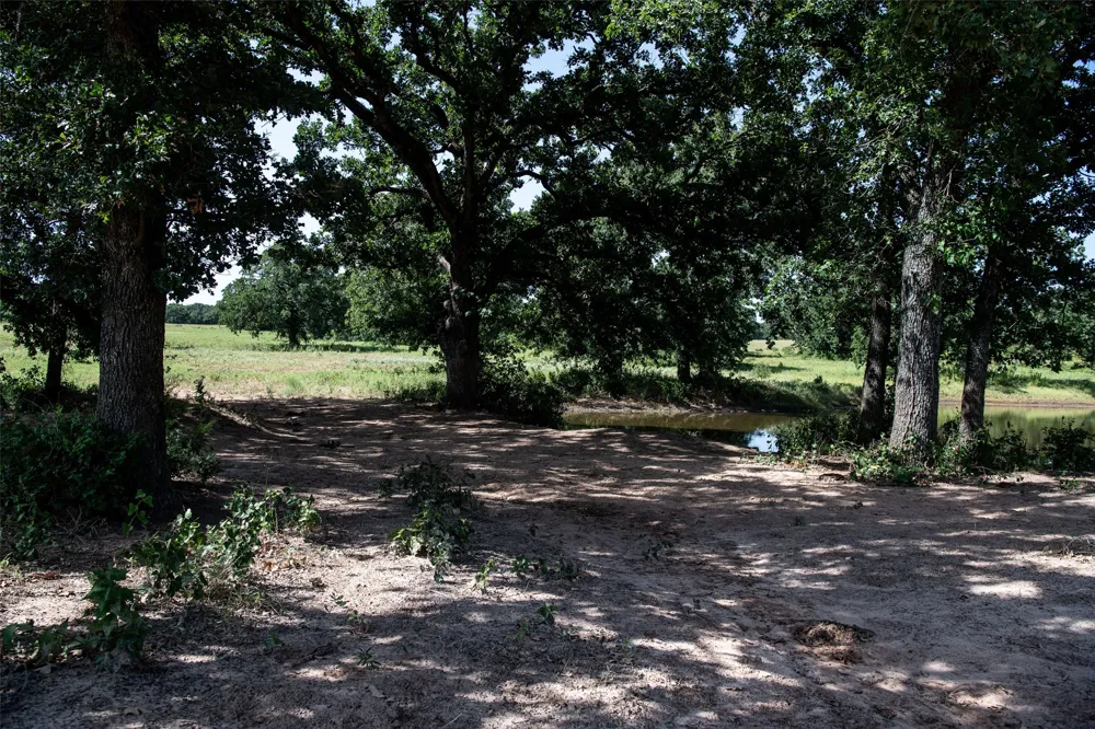 148 Private Road 169 Sunset, TX 76270