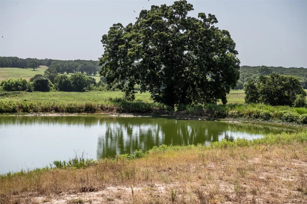 148 Private Road 169 Sunset, TX 76270