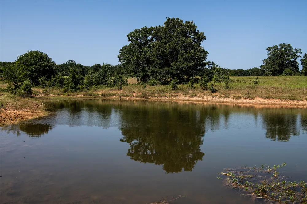148 Private Road 169 Sunset, TX 76270