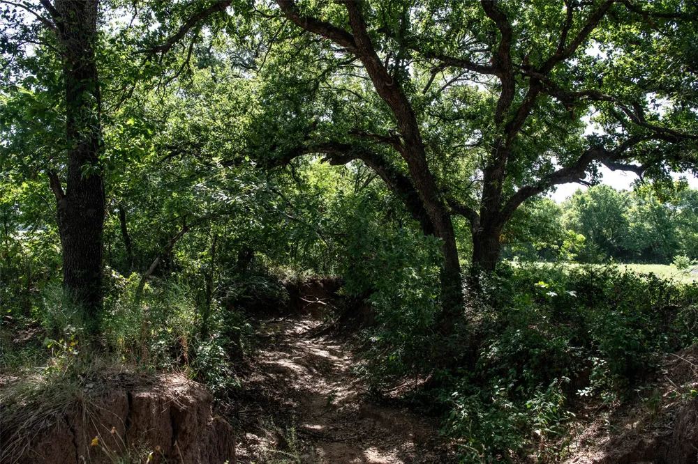 148 Private Road 169 Sunset, TX 76270