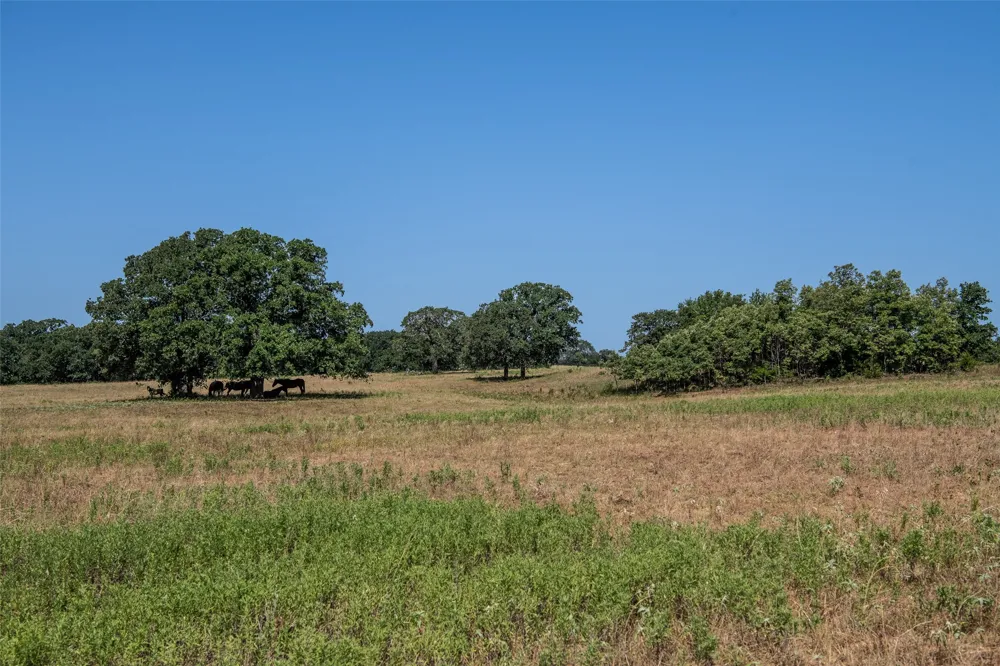 148 Private Road 169 Sunset, TX 76270
