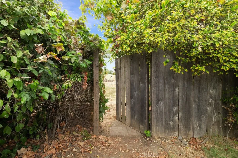 942 12th Williams, CA 95932