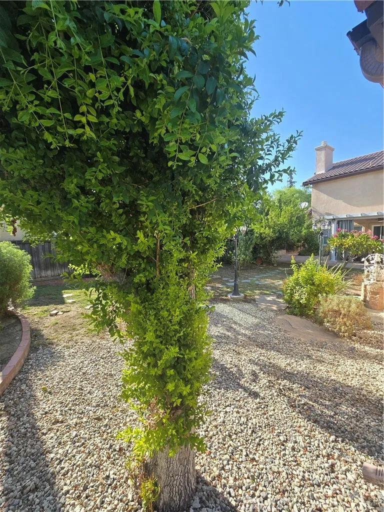 18546 Elkwood Street Reseda, CA 91335