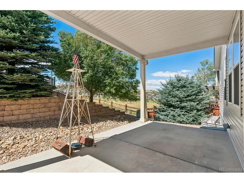 3903 Starry Night Loop Castle Rock, CO 80109