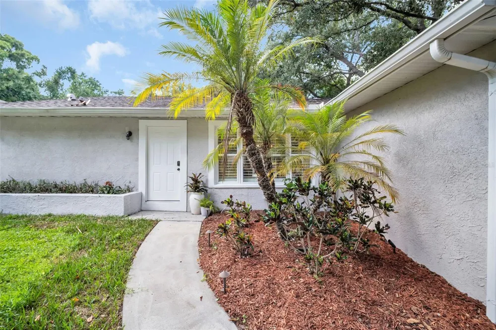 9 HARBOR COVE STREET W Safety Harbor, FL 34695