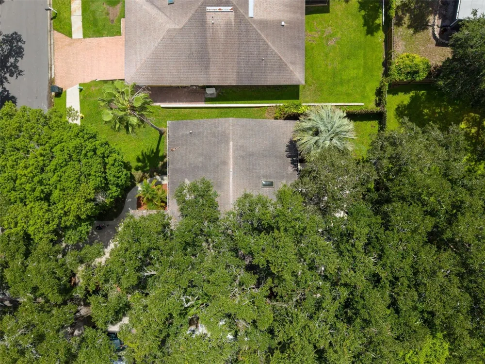 9 HARBOR COVE STREET W Safety Harbor, FL 34695