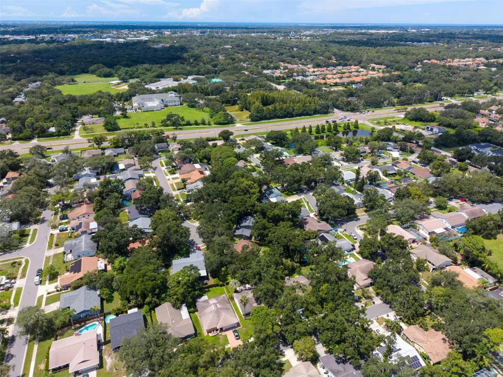 9 HARBOR COVE STREET W Safety Harbor, FL 34695